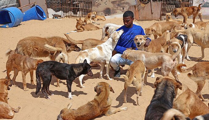 S_Gaza-Animal_Shelter-Anas_Baba_03_Mubar.jpg
