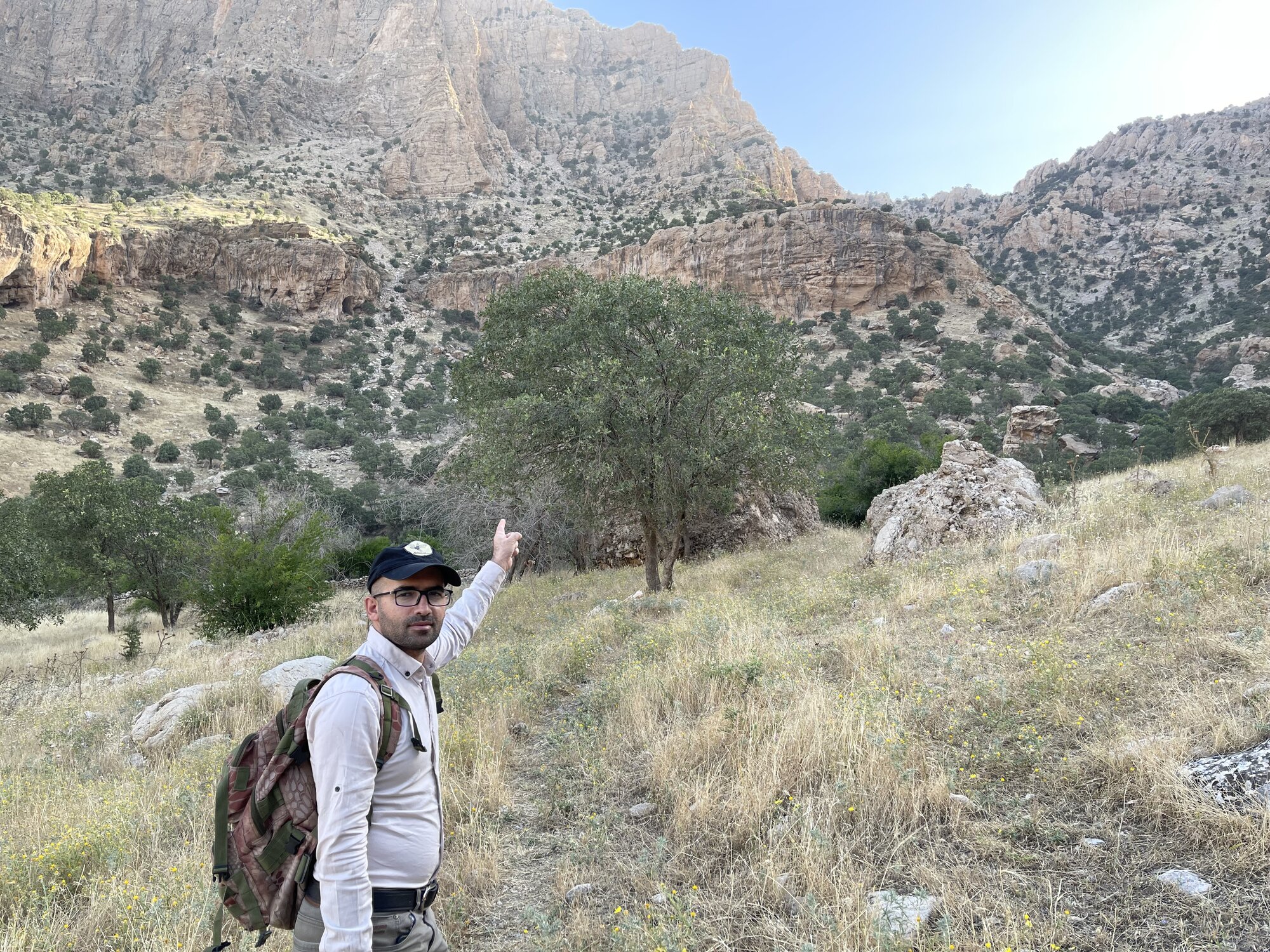 Ramyar Ako Lost_Leopards_by_Ramyar_Ako-02.jpeg