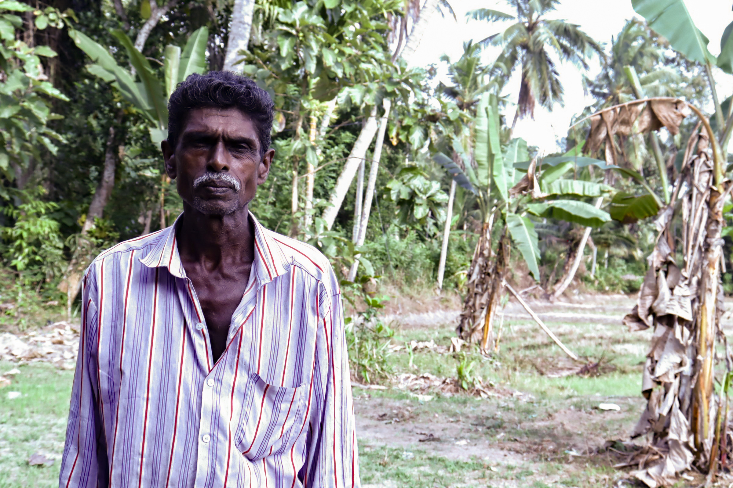 Paddy_farmers_1.jpg