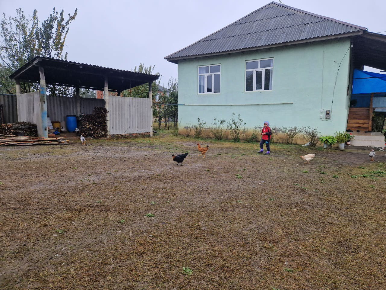 © Ismayil Fataliyev 05_Masalli_region__DONE.jpg