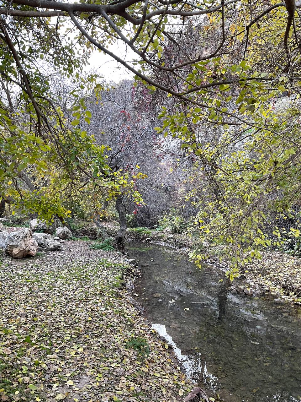 Ramyar Ako photo_11_2025-09-02_08-54-24.jpg