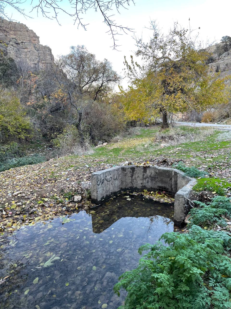 Ramyar Ako photo_12_2025-09-02_08-54-24.jpg