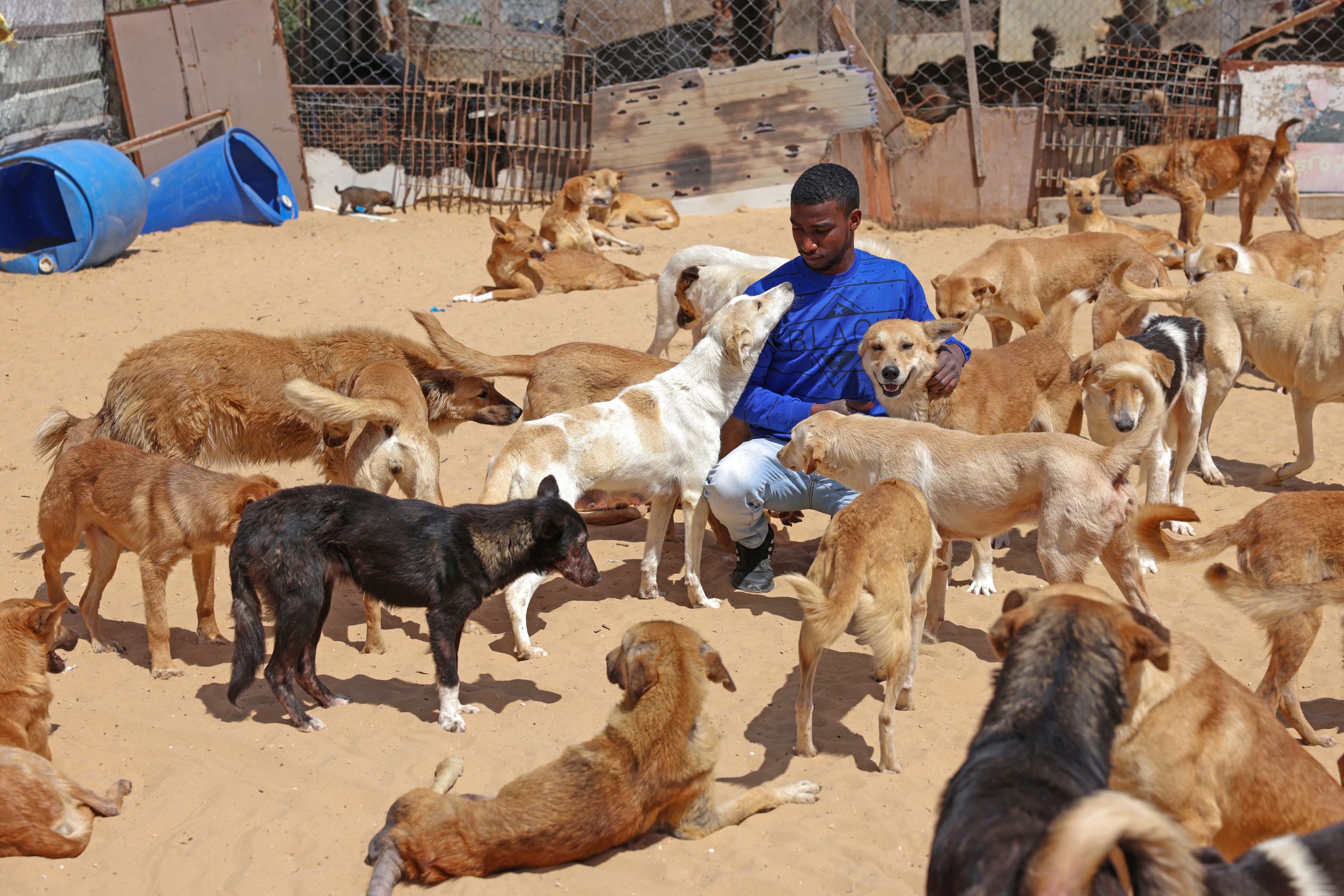 S_Gaza-Animal_Shelter-Anas_Baba_03_Mubar.jpg